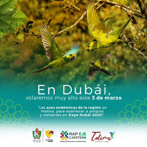 EXPO DUBAI 2020