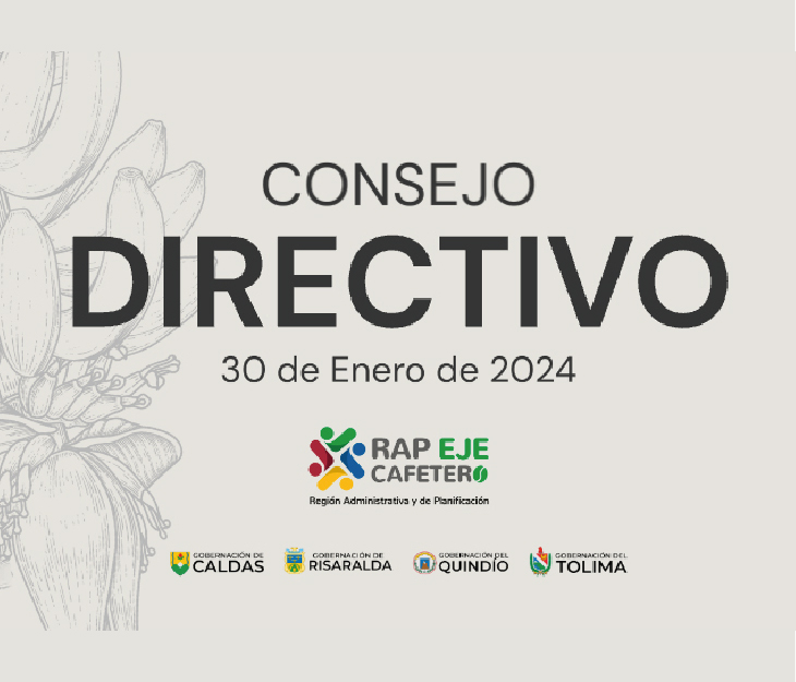 Consejo Directivo