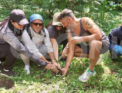 Biólogo quindiano clasifica nueva especie de hormiga en Armenia