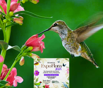 Regresa ExploFlora 2024 Tolima