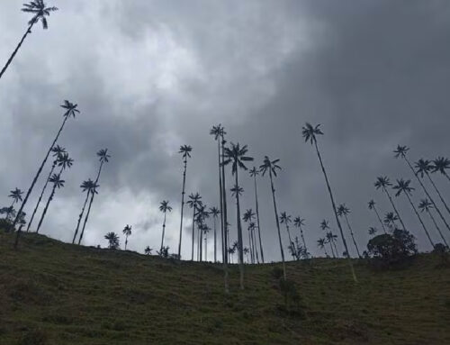 Autoridades en Quindío establecen controles por cierre en parque natural Los Nevados