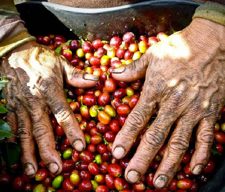 Café Colombiano