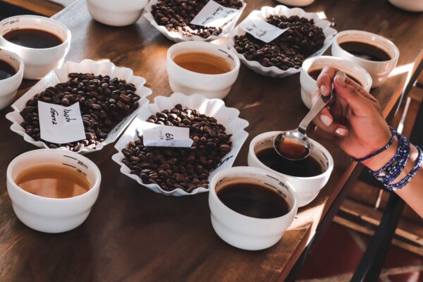 Cafés especiales del territorio RAP Eje Cafetero rumbo Chicago