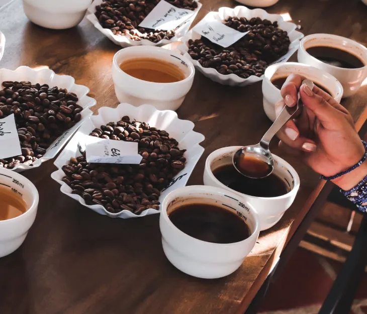 Cafés especiales del territorio RAP Eje Cafetero rumbo Chicago
