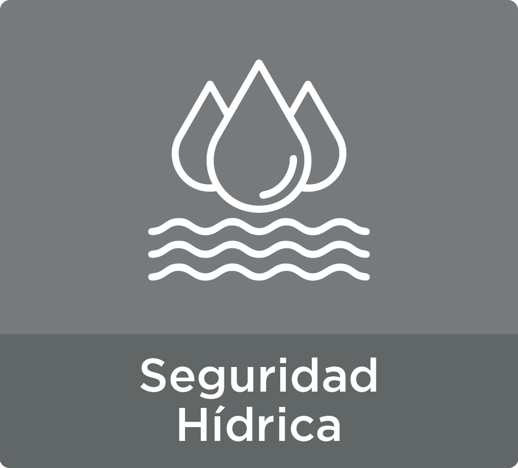 Seguridad hidrica