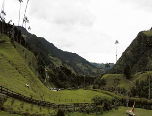 10 destinos en el Quindío para celebrar Amor y Amistad