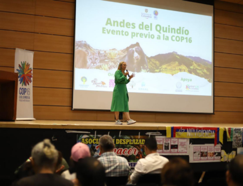 QUINDÍO LIDERÓ LA PRE-COP ANDES DEL QUINDÍO CON UNA VISIÓN REGIONAL Y SOSTENIBLE