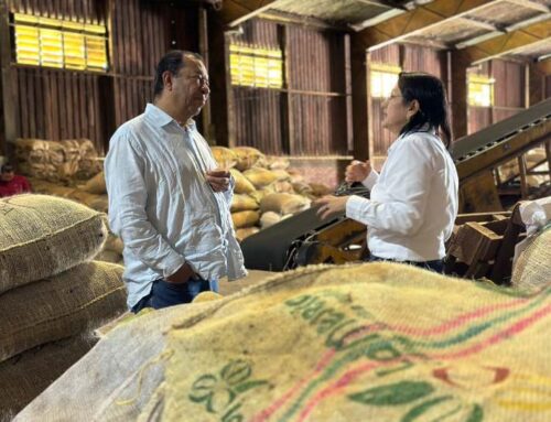 CAFICULTURA REGIONAL, IMPORTANTE PROCESO PARA LA RAP EJE CAFETERO