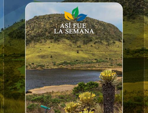 ASÍ FUE LA SEMANA 02 MARZO 2025