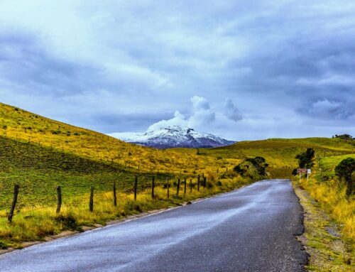 RAP Eje Cafetero lidera actualización del Protocolo de Contingencia para el PNN Los Nevados
