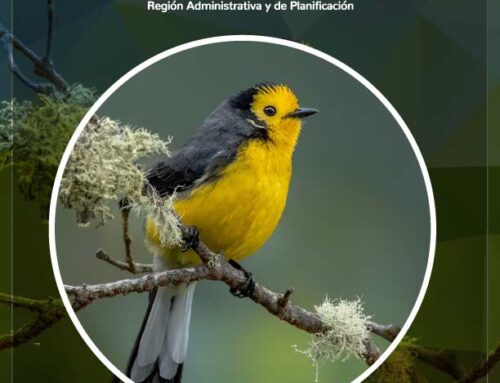 ASÍ FUE LA SEMANA 27 SEPTIEMBRE 2025