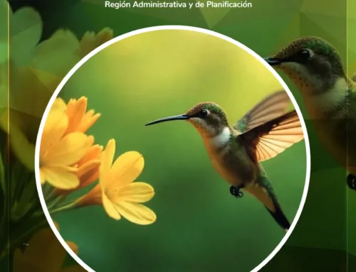 ASÍ FUE LA SEMANA 13 SEPTIEMBRE 2025