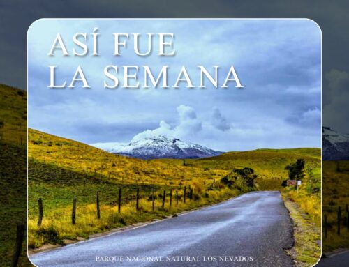 ASÍ FUE LA SEMANA 15 FEBRERO 2025