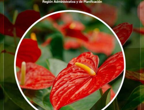 ASÍ FUE LA SEMANA 4 OCTUBRE 2025