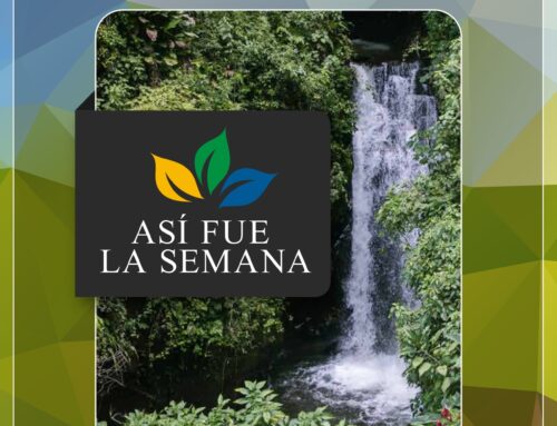 ASÍ FUE LA SEMANA 8 FEBRERO 2025