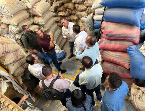 Exportaciones Agrícolas de la Región RAP Eje Cafetero: Liderazgo y Logística