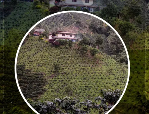 ASÍ FUE LA SEMANA 6 DICIEMBRE 2025