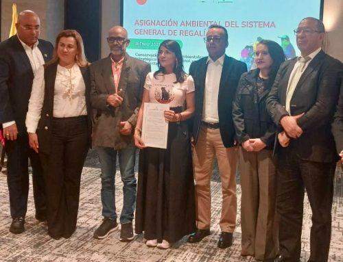 RAP Eje Cafetero ejecutará proyecto por $15.757 millones de regalías para frenar la deforestación en cuatro municipios de Tolima y Cundinamarca